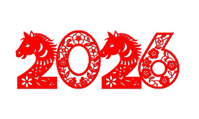 Welcoming 2026: A Year of Innovation and Excellence from Our Factory